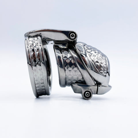 Orion, Titanium, Full Coverage, Facets, Side