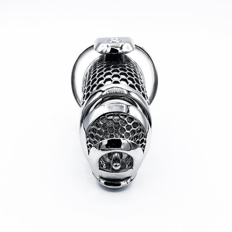 Stainless Steel Orion with Hex Filigree