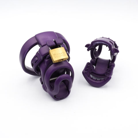 Evotion Cage 8 with Frenum Piercing + extra shaft with spikes (sold as seen)