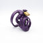 Evotion Cage 8 with Frenum Piercing + extra shaft with spikes (sold as seen)